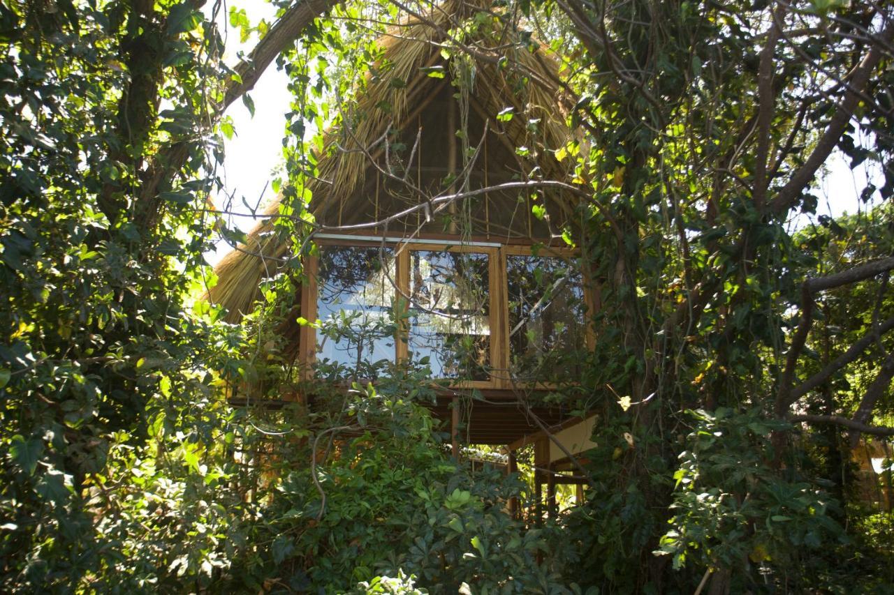 El Pital, Chocolate Paradise Balgue Exterior foto